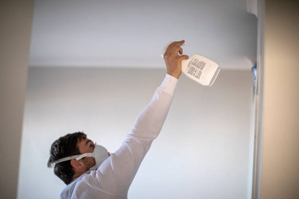 Best Health and Safety Mold Remediation in St Matthews, KY